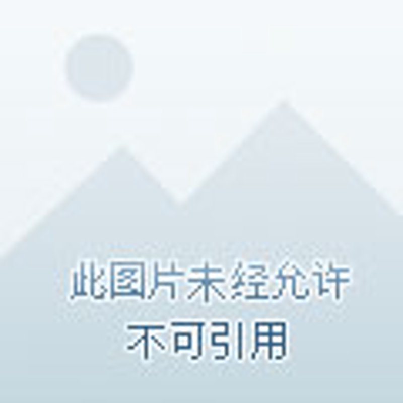 技术转移MTT：让创新成果落地的桥梁